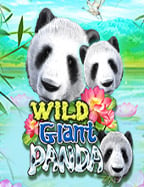 ข่าว ฟุตบอล ซีเกมส์ อัปเดตล่าสุดจากกีฬาทั่วไป